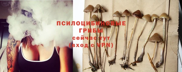гидра Билибино