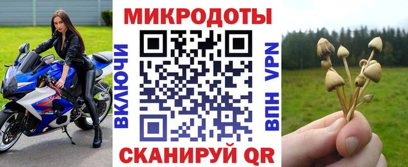 MEGA ТОР  купить закладку  Среднеколымск  Псилоцибиновые грибы Cubensis 